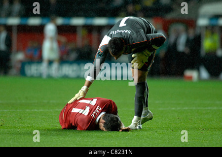 Il Galles v svizzera - Euro 2012 partita di qualificazione @ il Liberty Stadium di Swansea. Foto Stock