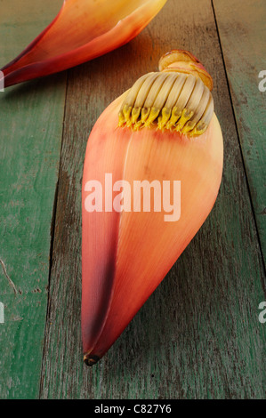Banana blossom su uno sfondo di legno Foto Stock