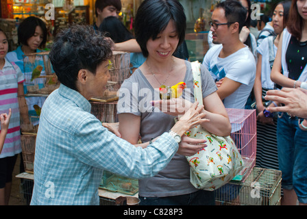 Donna che mantiene gli uccelli, il Mercato degli Uccelli, Kowloon, Hong Kong Foto Stock