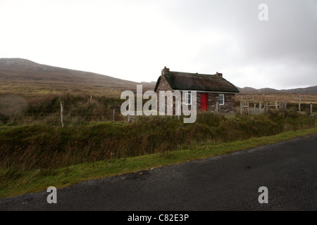 Un cottage con tetto di paglia in Irlanda rurale Foto Stock