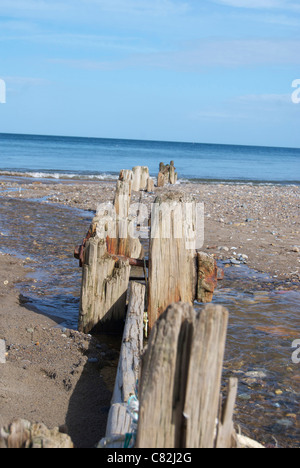 Vista sulla spiaggia e sul mare a Sandsend North Yorkshire Foto Stock