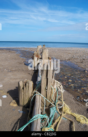 Vista sulla spiaggia e sul mare a Sandsend North Yorkshire Foto Stock