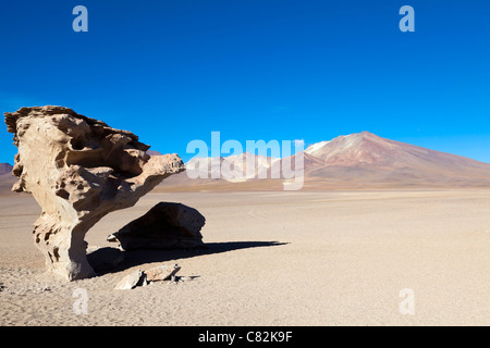 L'unica struttura in pietra nel deserto Siloli, Bolivia Foto Stock