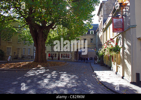 L Abbazia di ciottoli verde con un piano centrale albero e botteghe circostanti in bagno, N.E. Il Somerset, Inghilterra, Regno Unito Foto Stock