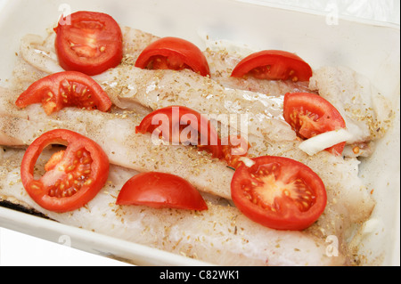 Pollock / pollack i filetti di pesce nel piatto per la cottura, pomodori a fette & erbe (alternativa a cod) Foto Stock