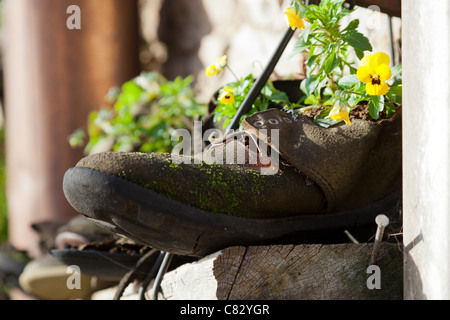 Vecchie scarpe e stivali con fiori. Situato al boot hill in Teignmouth Foto Stock