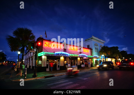 Sciatto Joe's all alba di Duval Street, key west, Florida, Stati Uniti d'America Foto Stock