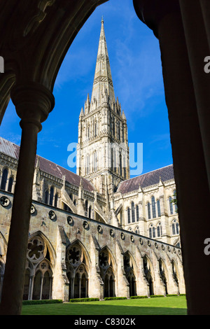 La guglia della Cattedrale di Salisbury dal chiostro, Salisbury, Wiltshire, Inghilterra, Regno Unito Foto Stock