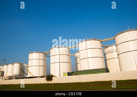 Serbatoi di olio nel porto di Rotterdam. Foto Stock