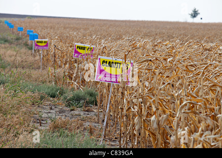 Le colture geneticamente modificate in Romania Foto Stock