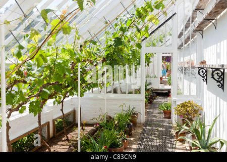 Una delle serre ripristinato al Lost Gardens of Heligan, Pentewan, St.Austell, Cornwall Foto Stock