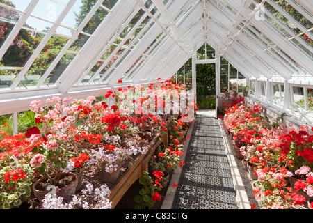 Una delle grandi case restaurate presso i Lost Gardens of Heligan, Pentewan, St.Austell, Cornwall UK Foto Stock