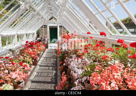 Una delle grandi case restaurate presso i Lost Gardens of Heligan, Pentewan, St.Austell, Cornwall UK Foto Stock