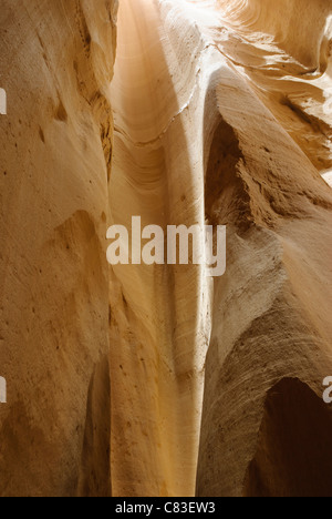 Canyon Arada - Penisola del Sinai - Egitto Foto Stock