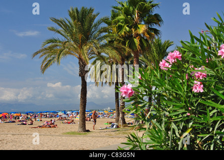 Platja de Llevant, Salou, Costa Daurada, provincia di Tarragona Catalogna Foto Stock