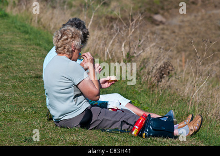 Vista posteriore di 2 donne anziane persone sedute sul prato di sole estate sole godendo un picnic Foto Stock
