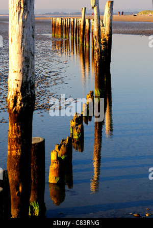 Modelli e riflessioni di groynes di legno West Wittering's spiaggia sabbiosa a bassa marea, Nr. Chichester, West Sussex, Inghilterra, UK Foto Stock