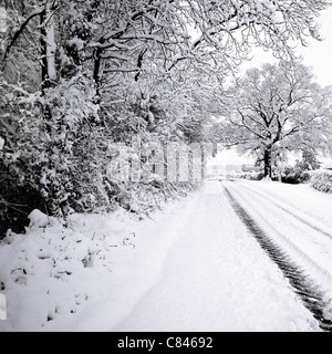 Coperta di neve alberi strada di rivestimento Foto Stock