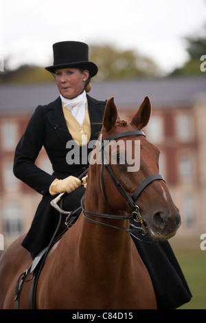 Lato pilota a sella di cavallo Sandhurst femmina warmblood Foto Stock