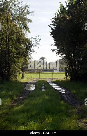 tracce fangose che portano a un campo gated Foto Stock