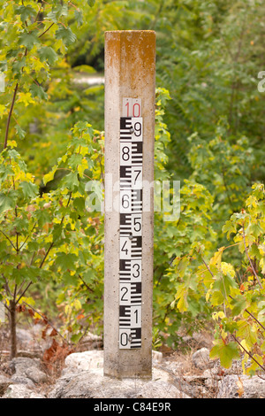 Indicatore livello acqua contro le piante e gli alberi Foto Stock