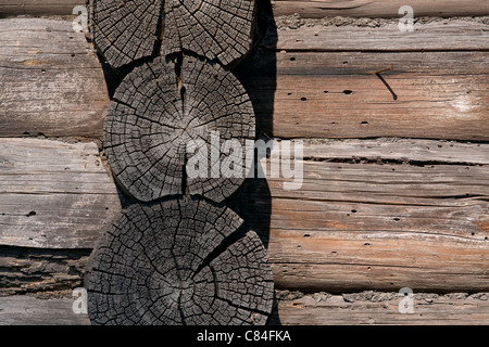 Vecchi log incrinato dall età nella parete di casa con travi di legno. Fori di teredos. Chiodo arrugginito in una crepa. Foto Stock