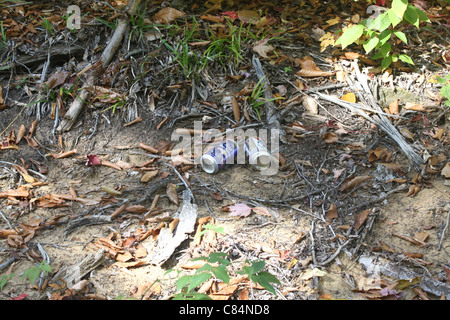 Due lattine di birra disseminate nella foresta Foto Stock