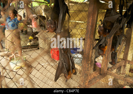 Pipistrelli di frutta in vendita presso la stalla stradale, parte del commercio di carne di animali selvatici, con rischio di cross-over di malattie umane e animali. Foto Stock