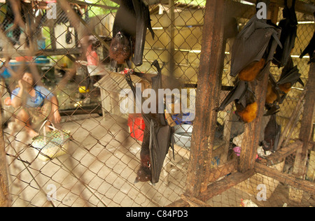 Pipistrelli di frutta in vendita presso la stalla stradale, parte del commercio di carne di animali selvatici, con rischio di cross-over di malattie umane e animali. Foto Stock