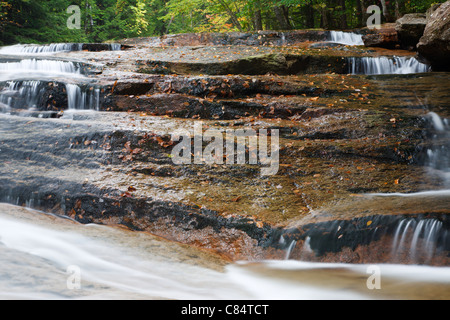 Bartlett foresta sperimentale - Albany Brook durante i mesi di autunno in Bartlett, New Hampshire USA. Foto Stock