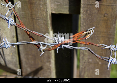 Vecchio arrugginito filo spinato al di fuori di una chiesa gettando pensieri sopra la corona di spine di Cristo capo Foto Stock