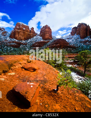 Il Crimson scogliere sono un po' a sud-sud-est di Sedona. Bella spolverata di neve. Marg disegnare area. In Arizona. Stati Uniti d'America Foto Stock