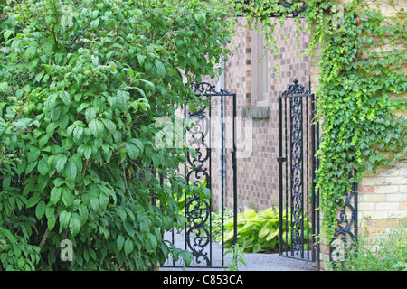 Cancello del giardino circondato da edera. Foto Stock