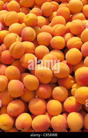 Carni prodotte biologicamente frutta albicocche per la vendita Foto Stock