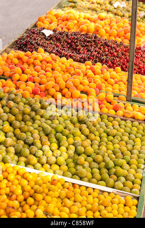 Carni prodotte biologicamente frutta Albicocche Ciliege Prugne greengages damsons per la vendita Foto Stock