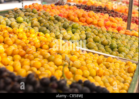 Carni prodotte biologicamente frutta Albicocche Ciliege Prugne greengages damsons per la vendita Foto Stock