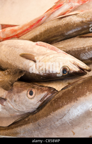 Pressione di stallo di mercato la visualizzazione di pesci catturati in Normandia Francia Foto Stock