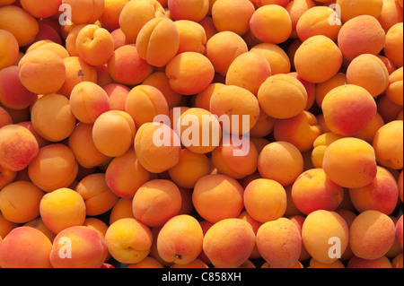 Carni prodotte biologicamente frutta albicocche per la vendita Foto Stock