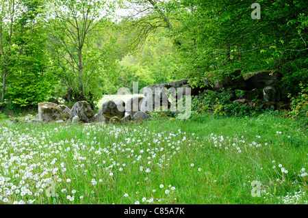 Sito megalitico : La table au diable (la tabella per il diavolo), Passais la concezione (Orne, in Normandia, Francia). Foto Stock