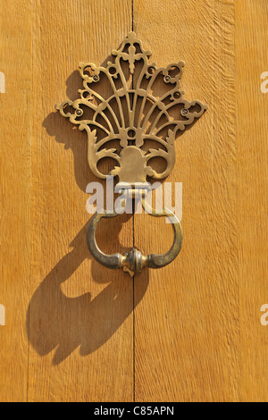 Porta in ottone respingente sul porta in legno di quercia, Bruxelles, Belgio Foto Stock