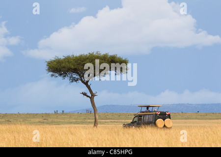 Safari veicolo, Masai Mara riserva nazionale, quartiere Narok, Rift Valley Provincia, Kenya Foto Stock