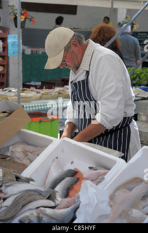 Pescivendolo al mercato agricolo in Dartmouth Devon UK Foto Stock