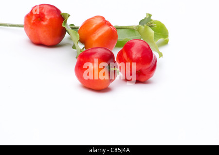 Close-up di bacche di acerola (Malpighia glabra) su sfondo bianco Foto Stock