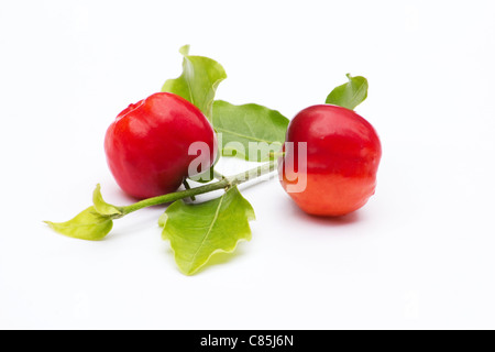 Close-up di bacche di acerola (Malpighia glabra) su sfondo bianco Foto Stock