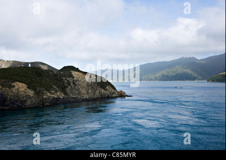 Lo stretto di Cook vicino a Queen Charlotte Sound Strai Cook Isola del Sud della Nuova Zelanda da un traghetto passeggeri Foto Stock