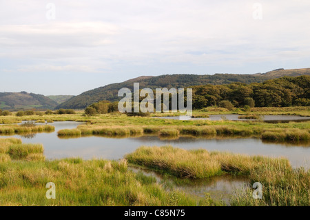 Ynys Hir RSPB Riserva Naturale forno Dyfi Valley Ceredigion nel Galles Cymru REGNO UNITO GB Foto Stock