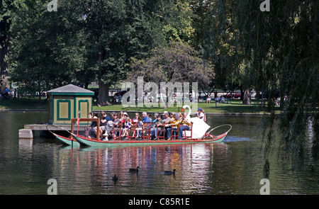 Un cigno barca scivola lungo la laguna di Boston il giardino pubblico. Foto Stock