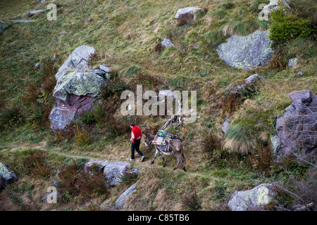 I ribelli in montagna, la Valle Brembana, Lombardia, Italia Foto Stock