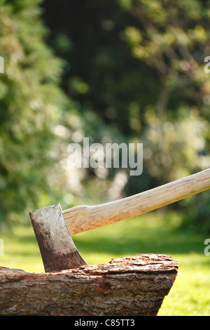 Boscaioli ax per spaccare la legna in un bosco di impostazione con copyspace Foto Stock