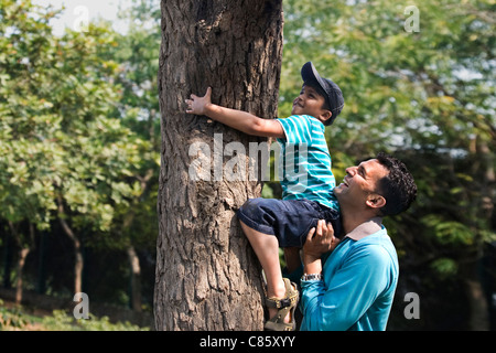 Padre aiutando il suo Figlio salire un albero Foto Stock